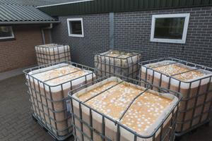 Kapotgeslagen eieren staan in 2017 bij een Drentse boer klaar voor afvoer naar verwerker Rendac. beeld Sjaak Verboom