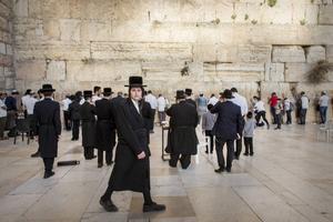 „Wie persoonlijk in ongeloof sterft, gaat verloren, of hij nu heidense of Joodse wortels heeft. Wat Israël als volk betreft, mogen we weten dat de massale toewending van Isra-el tot God eenmaal gestalte zal krijgen.” beeld RD, Henk Visscher