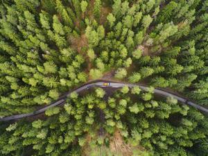 Er wordt gereisd in ”De goede zoon”, maar het verhaal leidt ogenschijnlijk nergens naartoe. Toch is de belangrijkste conversatie van de hoofdpersoon die met een zelfrijdende en sprekende auto. Daar wordt duidelijk wat de kern van de roman is: verlies van een geliefde. beeld iStock