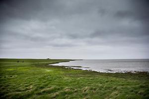 Waddenkust van Schiermonnikoog. beeld ANP, Siese Veenstra