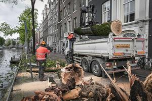 Omgevallen bomen aan de Herengracht in Amsterdam. beeld ANP