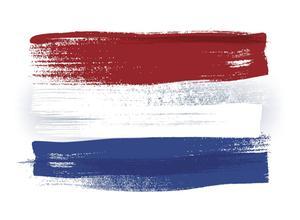 De belangstelling voor de studie Nederlands neemt de afgelopen jaren drastisch af. beeld iStock