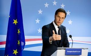 Premier Rutte. beeld ANP