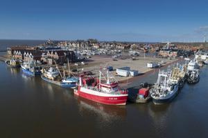 Kotters in de haven van Urk. beeld Freddy Schinkel