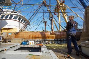 Voor tong, waar de meeste pulsvissers op vissen, is het Nederlandse quotum dit jaar 9439 ton. Foto: UK33. beeld ANP, Niels Wenstedt