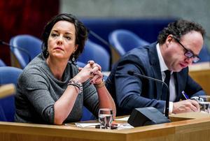 Staatssecretaris Van Ark. beeld ANP, Remko de Waal