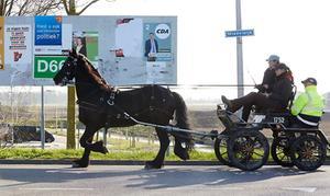 beeld ANP, Martijn Beekman