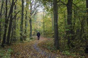 beeld iStock
