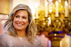 Koningin Máxima bij de uitreiking van de Appeltjes van Oranje. beeld ANP