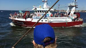 De UK 145 uit Urk, hier gefotografeerd tijdens een vlaggetjesdag, is een van de Nederlandse flyshootkotters. beeld RD