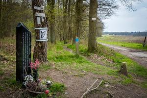 De gedenksteen voor Nicky Verstappen. beeld ANP