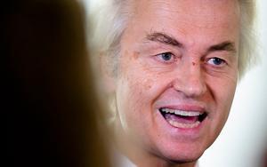 PVV-leider Wilders. beeld ANP