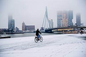 Rotterdam, vrijdagmorgen. beeld ANP
