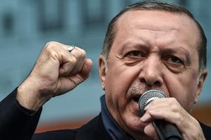Erdogan. beeld AFP