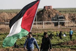 Palestijnen mogen straks in Nederland bij de burgerlijke stand opgeven dat ze in de Gazastrook of de Westelijke Jordaanoever zijn geboren. beeld AFP, Mahmud Hams