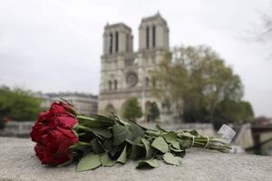 Rozen bij de Notre-Dame in Parijs, dinsdag. De Mariaklok van klokkengieterij Eijsbouts uit het Brabantse dorp Asten, die in één van de torens hangt, lijkt de enorme vlammenzee in de kathedraal te hebben overleefd. beeld AFP, Ludovic Marin