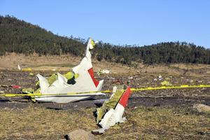 Brokstukken van de zondag verongelukte Boeing 737 MAX van Ethiopian Airlines. Bij de vliegramp zijn alle 157 inzittenden om het leven gekomen. beeld EPA