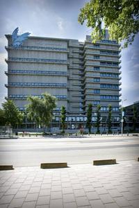 De Faculteit Geschiedenis aan de Vrije Universiteit (VU) viert de 100e verjaardag. beeld RD, Henk Visscher