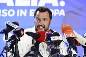 De Italiaanse Matteo Salvini. beeld AFP, Miguel Medina