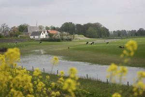 Herwijnen in het voorjaar. beeld RD, Anton Dommerholt