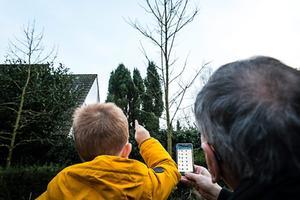 Vogels tellen met de app van de stichting Vogelbescherming Nederland. beeld ANP, Rob Engelaar