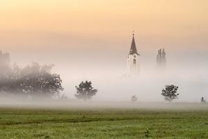 beeld iStock