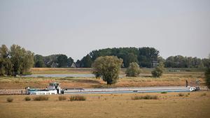 De waterstand in de grote rivieren daalde in het najaar tot recordlaagte. beeld ANP, Jasper Juinen