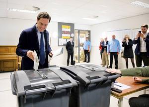 Wij koesteren onze democratie als instituut veel te weinig. We vergeten dat het huis van Thorbecke ook onderhoud nodig heeft.  beeld ANP, Bart Maat