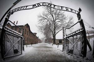 Antisemitisme bleek in 2018 groter dan ooit. Foto: toegangspoort van het vernietigingskamp in Auschwitz.  beeld AFP, Joel Saget