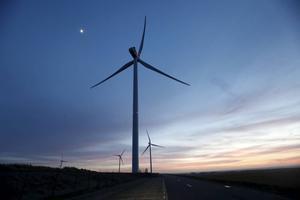 Met zijn gematigde klimaat, fluctuerende wind- en zonaanbod en hoge bevolkingsdichtheid is Nederland niet geschikt om zon en wind een vooraanstaande energierol te geven. Foto: windmolens bij windpark Slufterdam. beeld ANP, Bas Czerwinski