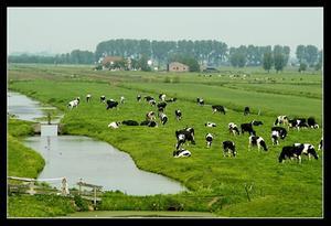 beeld RD, Henk Visscher