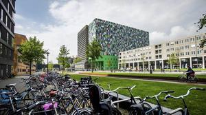 De Uithoflijn gaat meer dan 100 miljoen euro extra kosten. „Per meter het duurste stukje tramlijn van Nederland.” beeld ANP, Remko de Waal