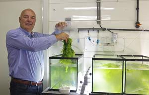 Directeur John van Leeuwen in het laboratorium van Seaweed Harvest Holland in het Zeeuwse Kamperland. beeld Van Scheyen Fotografie