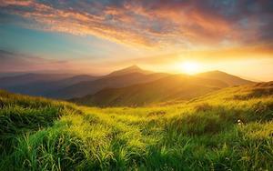 beeld iStock