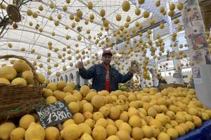 In het Tunesische Tunis is het leven het goedkoopst.  beeld AFP, Fethi Belaid