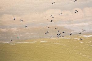 Mensen op het strand. beeld ANP
