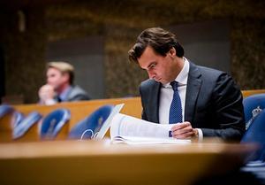 Baudet. beeld ANP