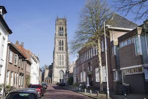 Zaltbommel. beeld RD, Anton Dommerholt