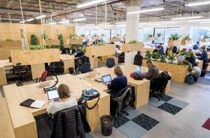 Het kabinet moet het zelfstandigenvraagstuk voortvarend aanpakken, door middel van een arbeidsongeschiktheidsverzekering en pensioenopbouw voor zzp’ers. Foto: zzp’ers aan het werk in een verzamelgebouw in Amsterdam. beeld ANP, Lex van Lieshout
