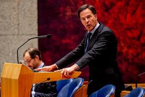 Premier Rutte. beeld ANP