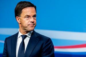 Rutte. beeld ANP