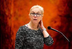 Kaag. beeld ANP