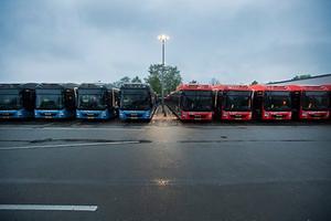 beeld ANP