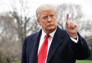 Trump. beeld AFP