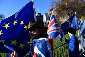 De Britse boer en de Nederlandse visser, de Duitse vrachtwagenchauffeur en de Franse handelskantoormedewerker: iedereen is beter af met het Verenigd Koninkrijk in de Europese Unie. beeld EPA, Neil Hall