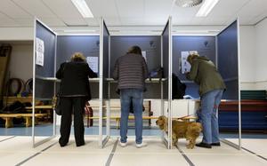 beeld ANP, Bart Maat