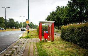 beeld ANP, Remko de Waal
