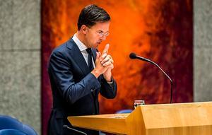 Premier Rutte. beeld ANP