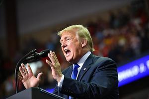 Trump. beeld ANP