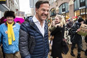 beeld ANP, Anjo de Haan